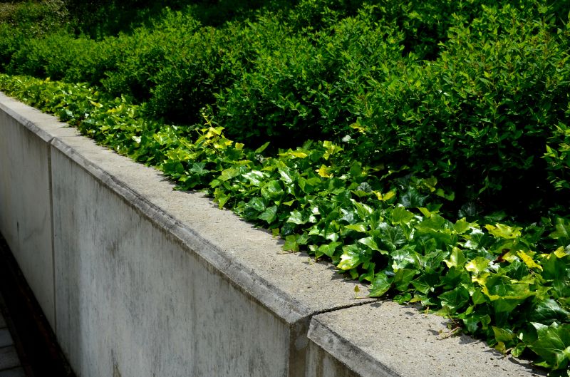 Concrete Wall Installation